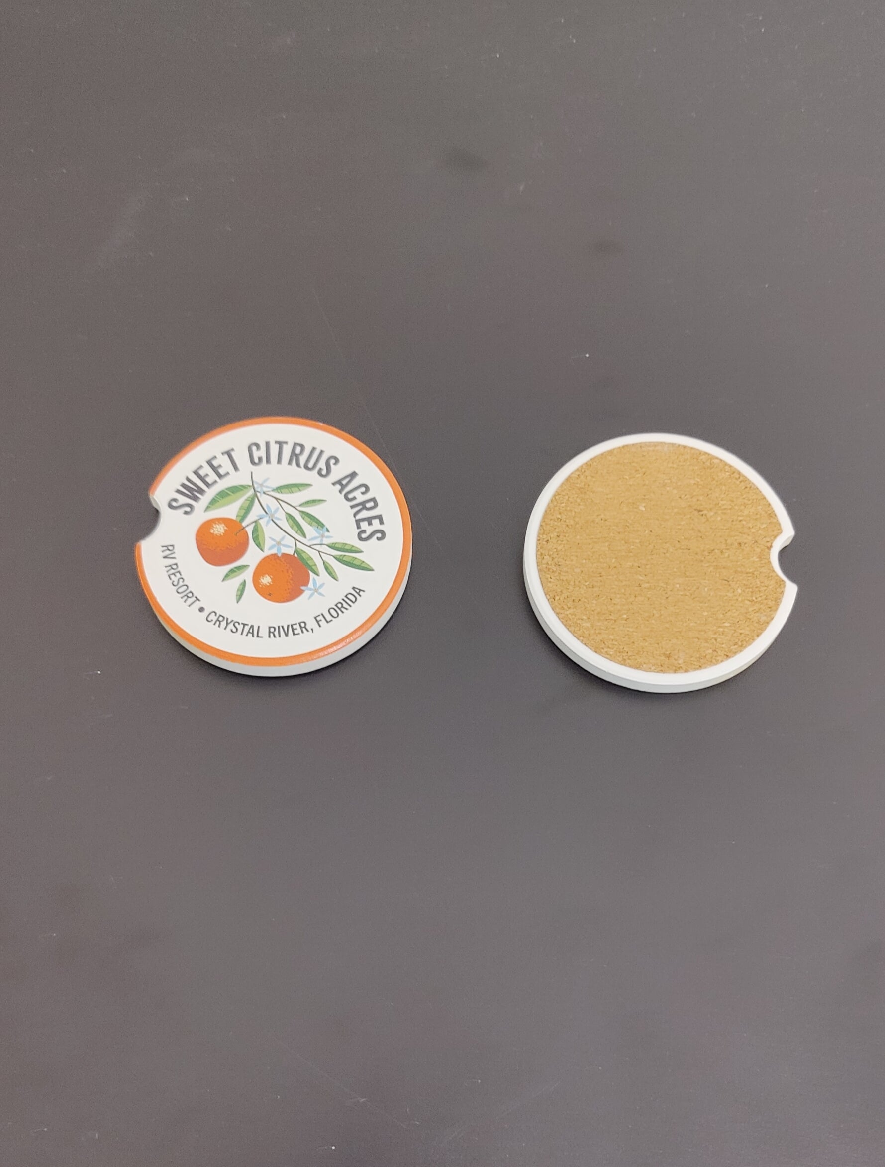 Sweet Citrus Acres RV Resort car coaster – single Crystal River Florida auto accessory souvenir